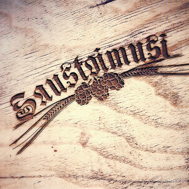 Saustoimusi